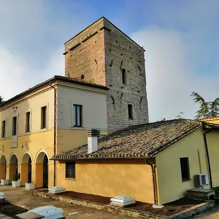 Casa Per Ferie Ulivo D'assisi Farm stay Assisi