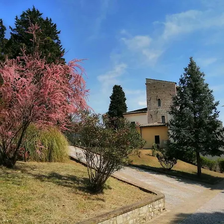 Casa Per Ferie Ulivo D'assisi