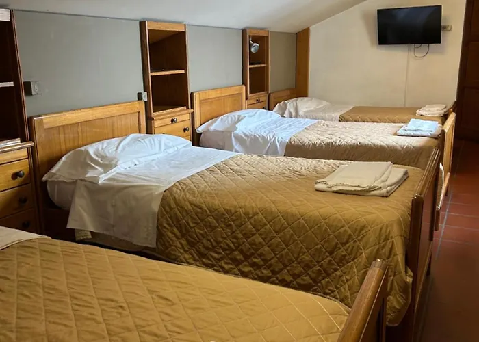 Casa Per Ferie Ulivo D'assisi *